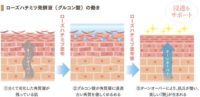 FTCフローラ リファイニング ブースターX（TEN）／30ml | FTC