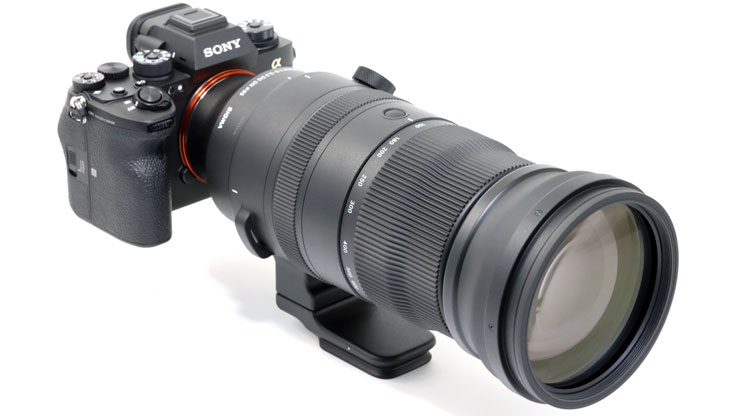 SIGMA 150-600mm F5-6.3 DG DN OS | Sports 実写レビュー
