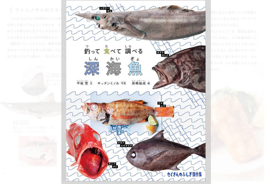幻となっていた「たくさんのふしぎ 釣って 食べて 調べる 深海魚」が