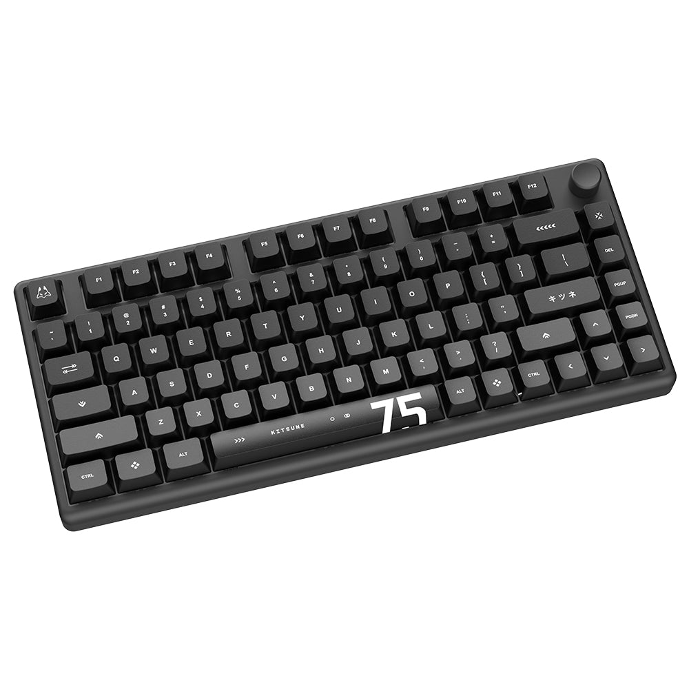 Arbiter Studio (アービタースタジオ) TENKO Polar 75 + 磁気