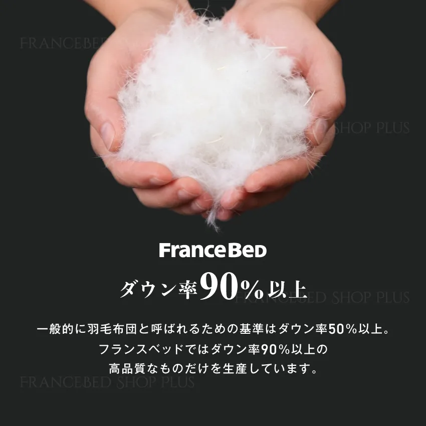 公式通販】フランスベッドショッププラス