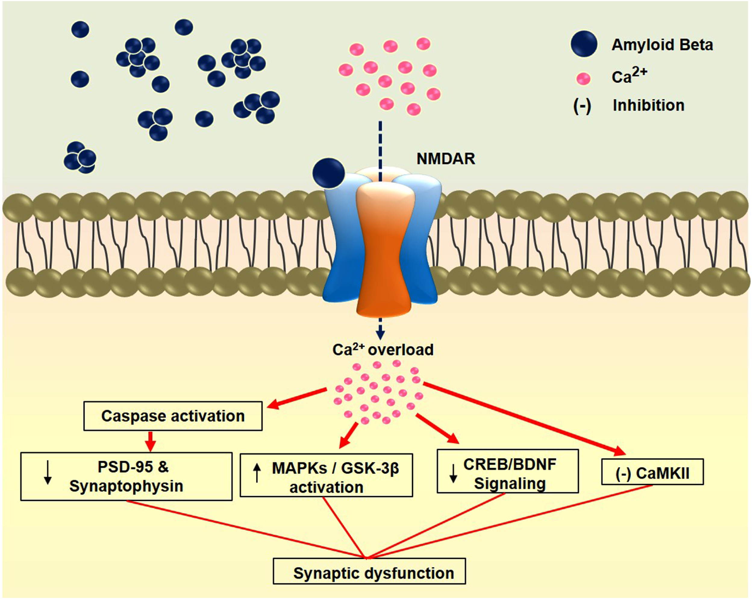 Frontiers | Neurotoxic Agent-Induced Injury in Neurodegenerative