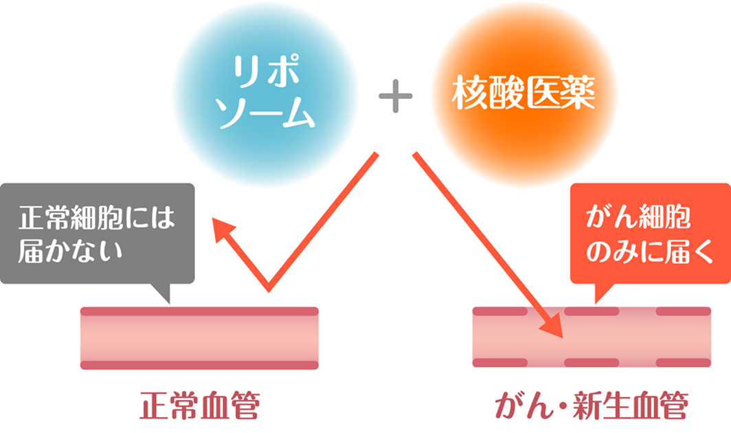 核酸医薬治療 | がん遺伝子医療専門 GENEクリニックグループ