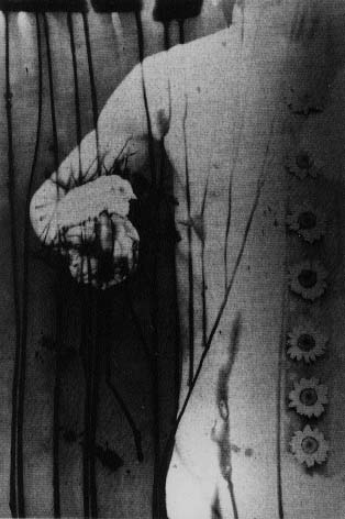 細江英公の写真：1950-2000」