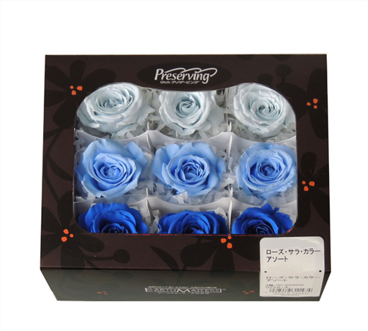 大地農園・サラ・カラーアソート・ブルーミックス9輪 | プリザーブド