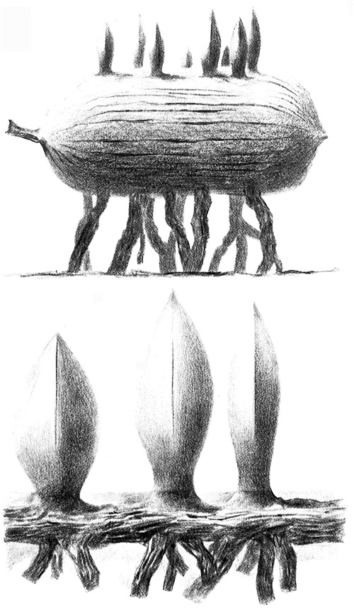 レオ・レオニ展/工作舎