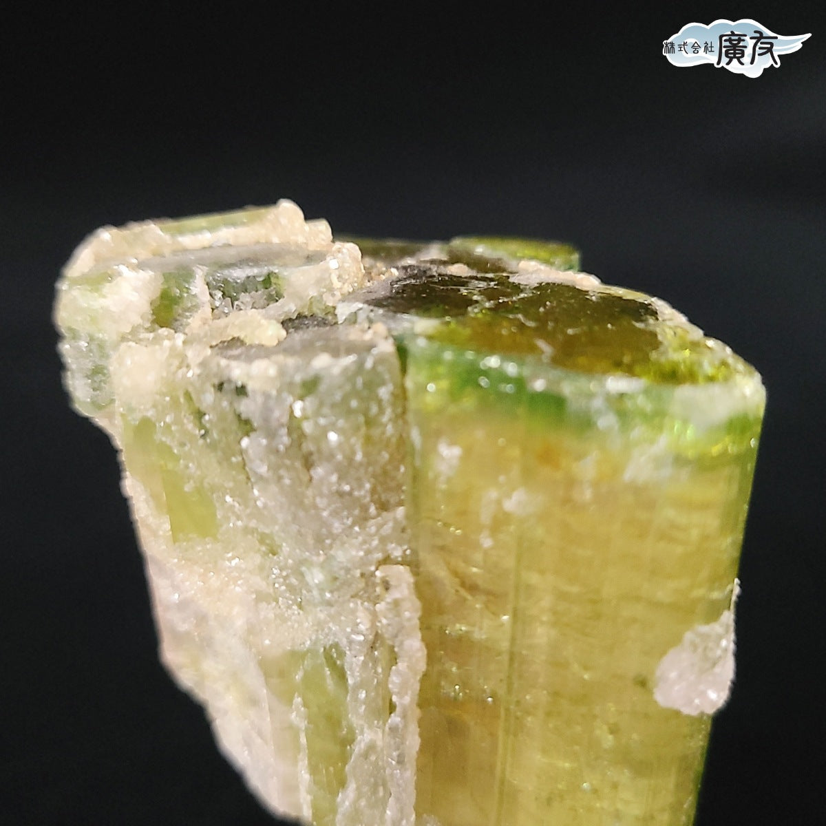 ウォーターメロントルマリン原石(台付) 現品限り(廣友)【新商品