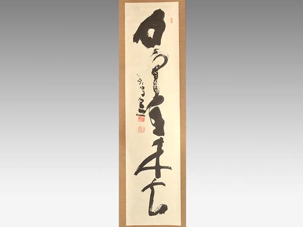 東大寺別当・管長 清水公照 一行書 「白雲自去来」共箱 | 古美術ささき