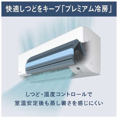 ダイキン DAIKIN エアコン Fシリーズ おもに10畳用 ホワイト AN285AFS