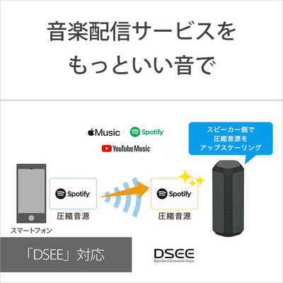 SONY SRS-XE300 ワイヤレススピーカー typeCケーブル欠品 SONY SRS