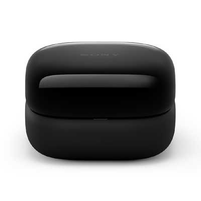 ソニー SONY フルワイヤレスイヤホン LinkBuds OPEN [ ワイヤレス