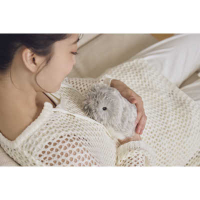 カシオ CASIO 手のりサイズ AIペット(コミュニケーションロボット