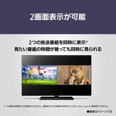 パナソニック Panasonic 【アウトレット】4K有機ELテレビ VIERA ビエラ