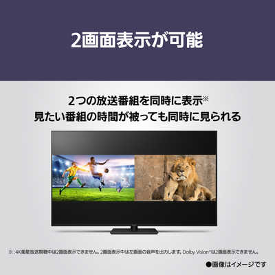 パナソニック Panasonic 液晶テレビ VIERA ( ビエラ ) W90Aシリーズ