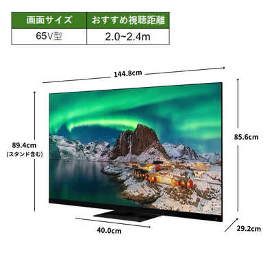 TVS REGZA Mini LED液晶テレビ REGZA [ 65V型 / 4K対応 / YouTube 対応
