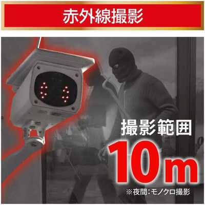 ダイトク ソーラーパネル一体・分離両用型屋外用防犯Wi-Fiカメラ Eco
