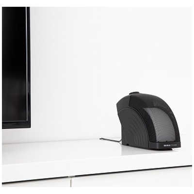 サウンドファン 【アウトレット】ミライスピーカー ホーム MIRAI