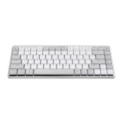 ロジクール キーボード MX MECHANICAL MINI for Mac(英語配列