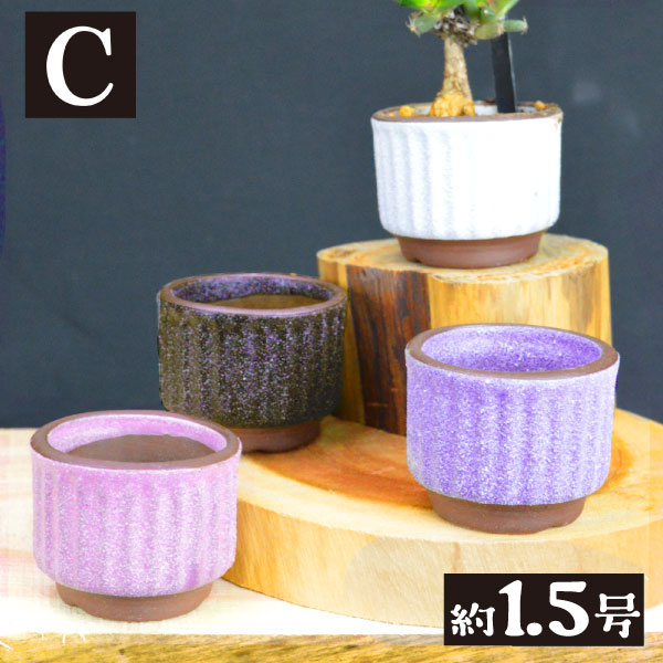 国華園オンラインショップ / まめ盆栽鉢 匠 7種 （1箱4～6個入り