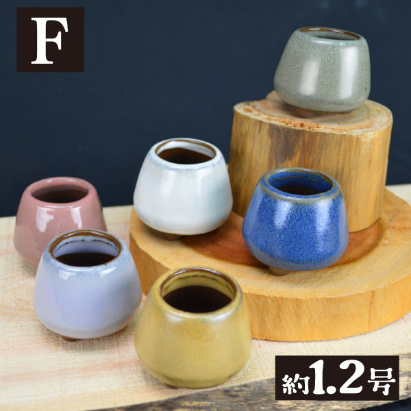 国華園オンラインショップ / まめ盆栽鉢 匠 7種 （1箱4～6個入り