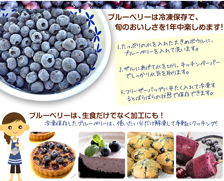 国華園オンラインショップ / 果樹苗 ラビットアイ系ブルーベリー