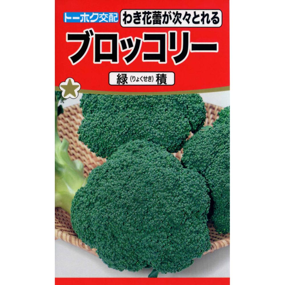 ブロッコリー種子 F1緑積 の通販 | ホームセンター コメリドットコム