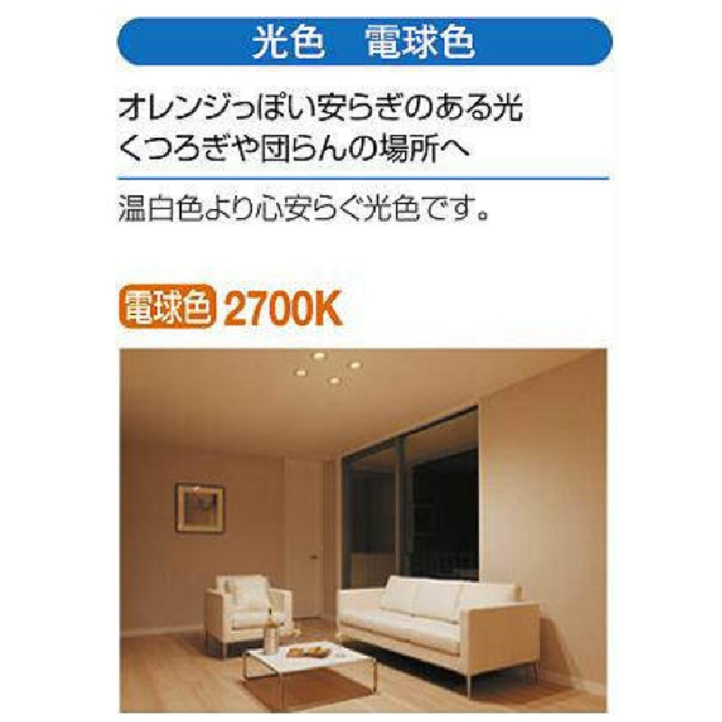 大光 ダウンライト 電球色 SK－206Y の通販 | ホームセンター