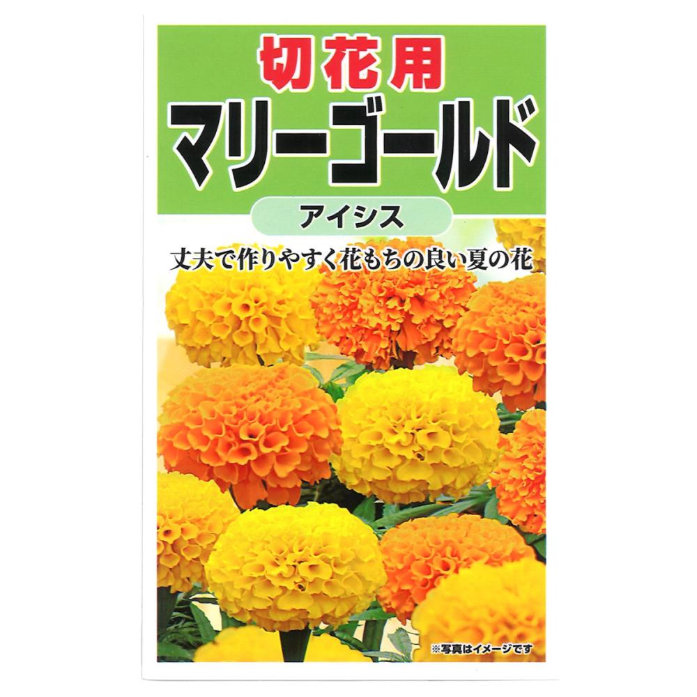 景観用大袋マリーゴールドアフリカントール の通販 | ホームセンター