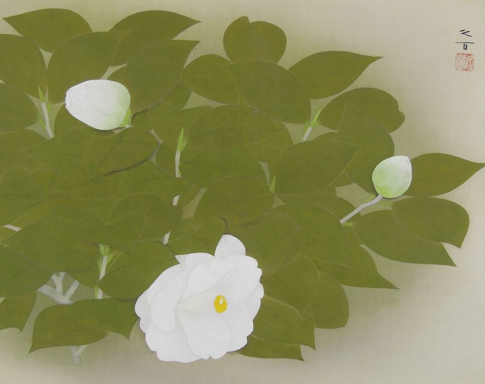 向井久万 『白椿』 [古美術こもれび] 絵画,古美術,骨董の買取と販売,名古屋