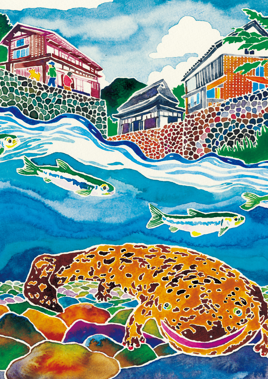 里山で共に暮す オオサンショウウオ | KOMOREBITO/コモレビト