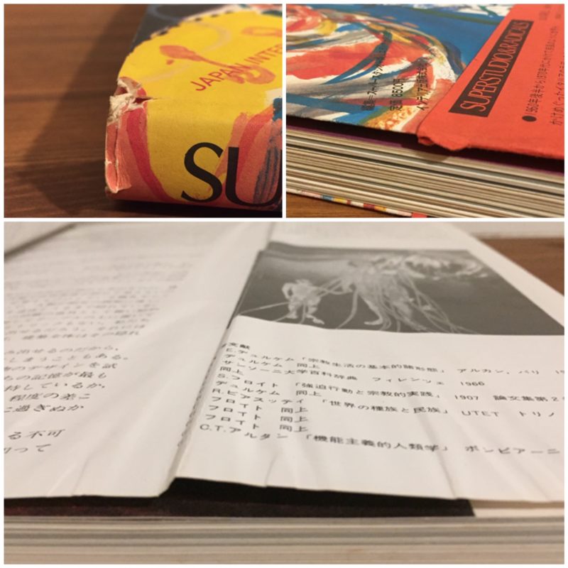 スーパースタジオ&ラディカルス JAPAN INTERIOR DESIGN別冊 ｜ 建築書