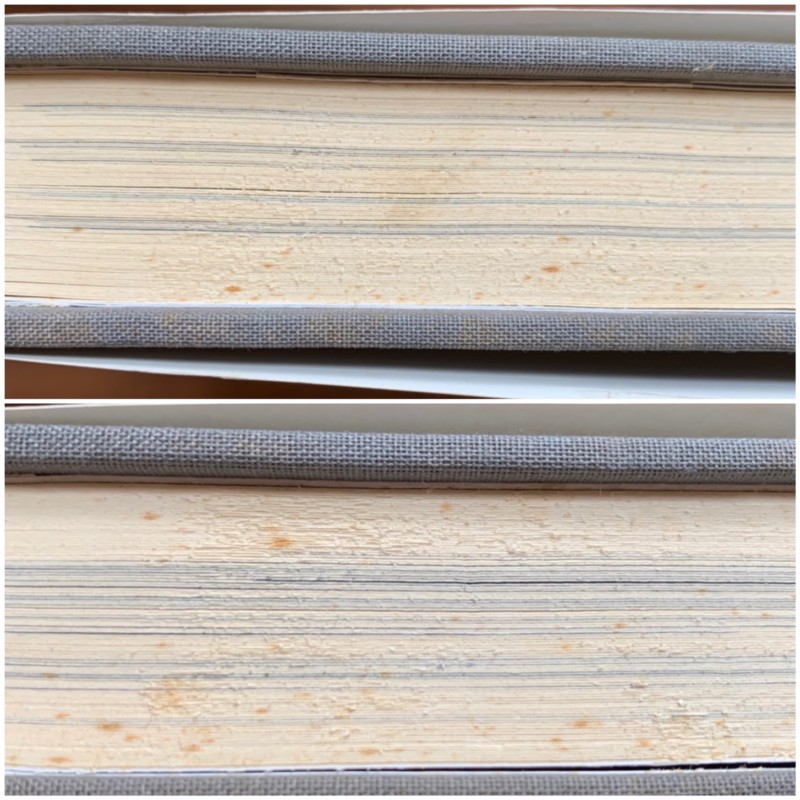 再入荷！ ピーター・メルクリ Approximations The Architecture of