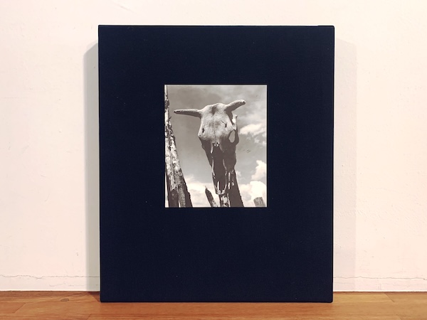 ジョージア・オキーフ Georgia O'Keeffe: The Artist's Landscape