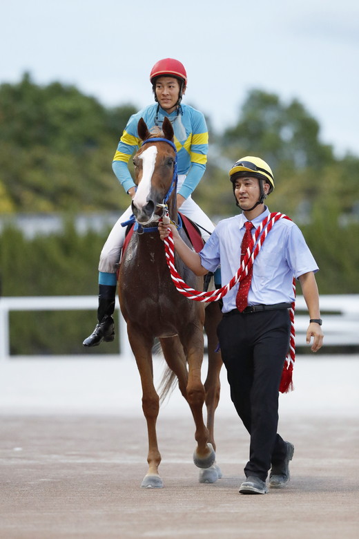 第19回秋桜賞｜web Furlong