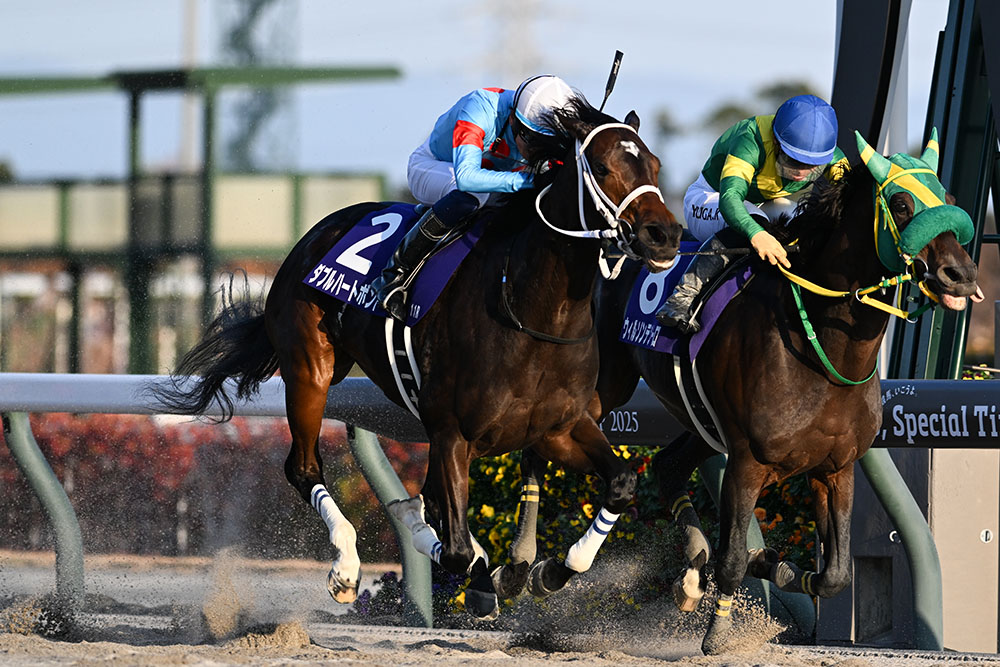 第26回チャンピオンズカップGI｜web Furlong