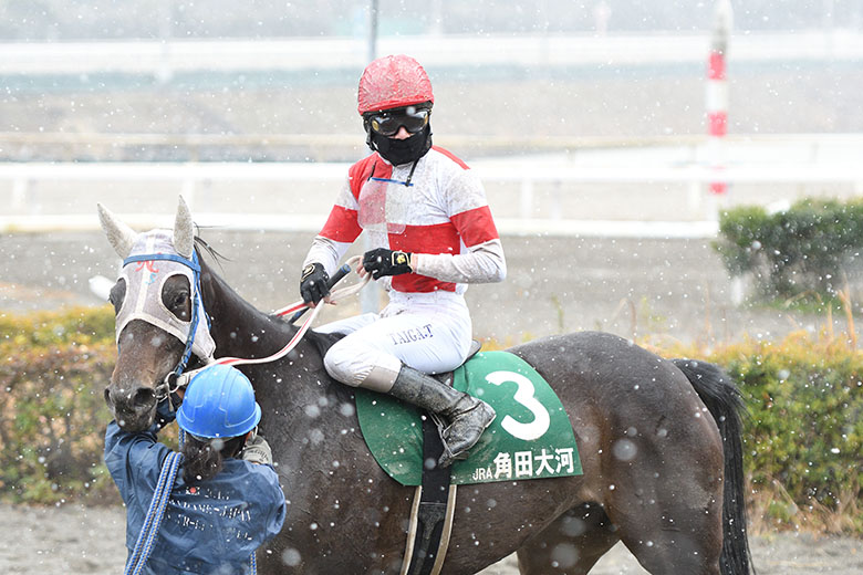 鷹*様 競馬必勝法本『覇王』 鷹*様 競馬必勝法本『覇王』 鷹*様 競馬