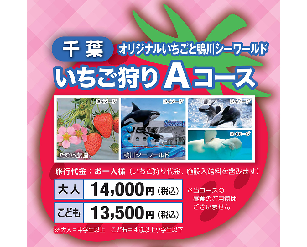 バスツアー｜京王バス