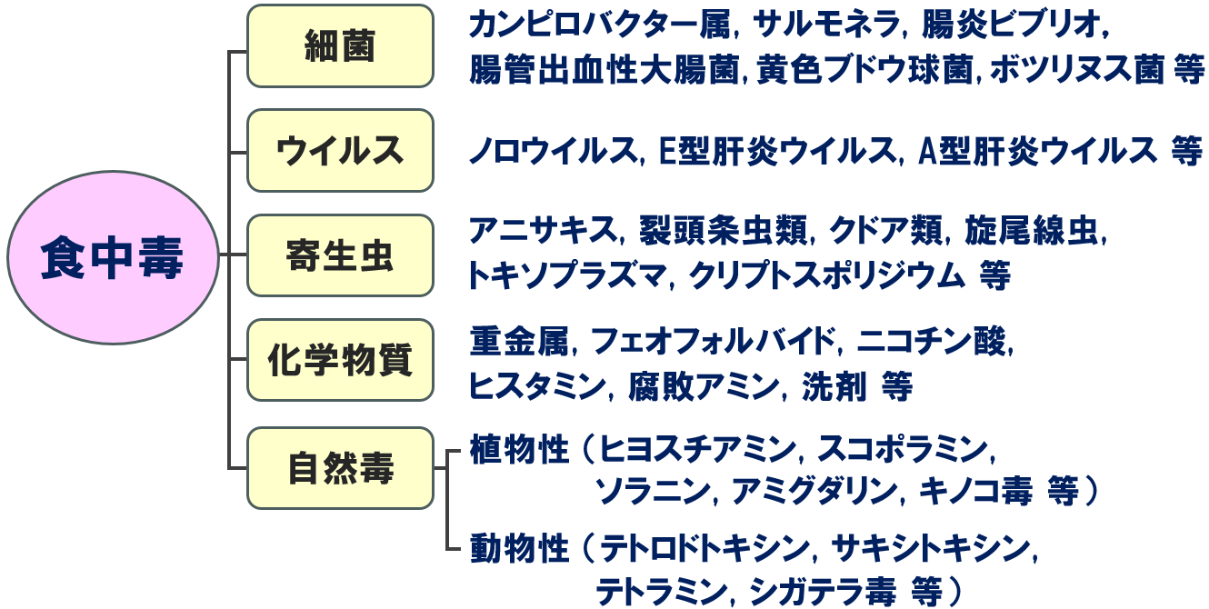 知っているつもりが怖い自然毒食中毒 - 一般財団法人 東京顕微鏡院