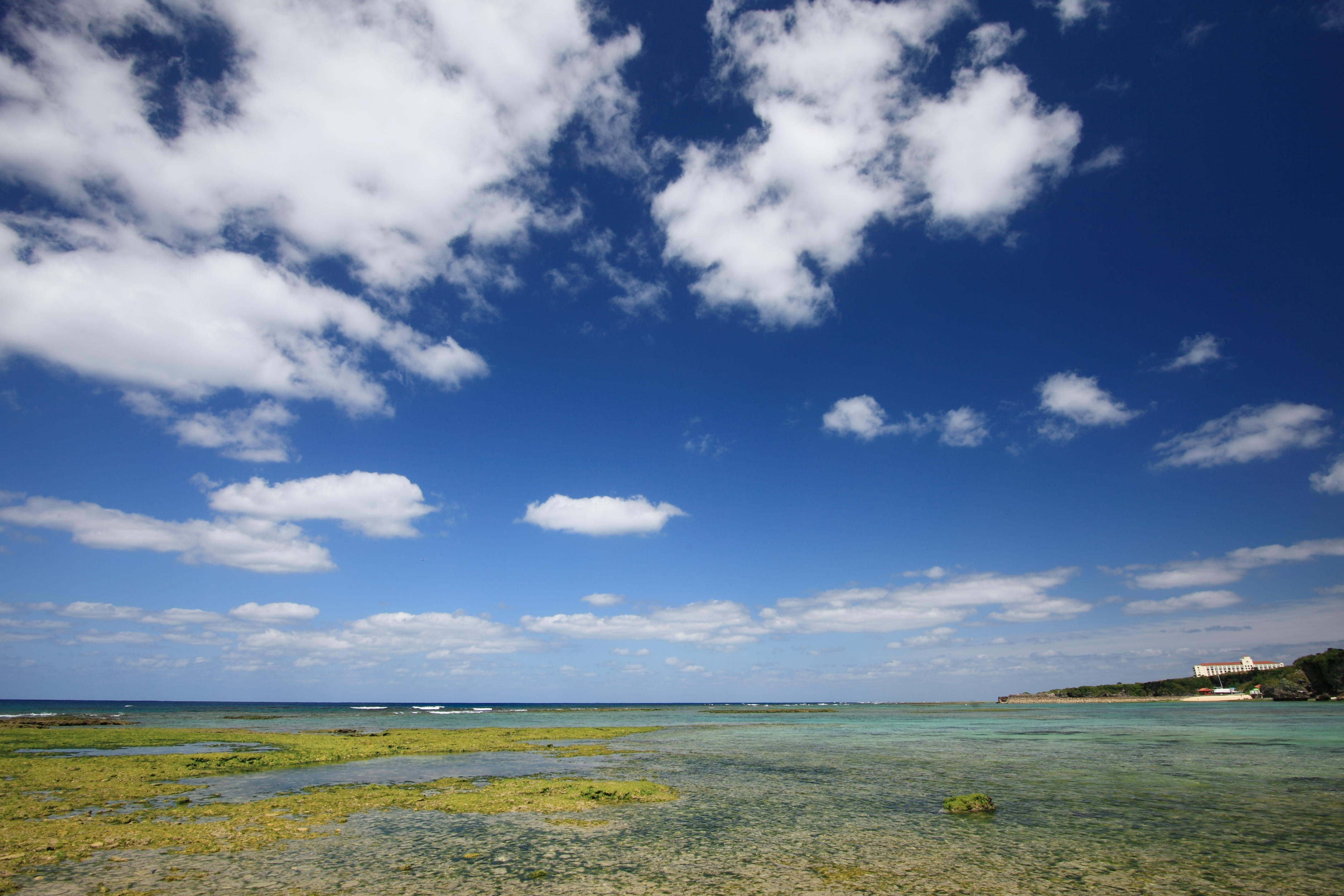 AT-X 17-35 F4 PRO FX | Tokina | ケンコー・トキナー