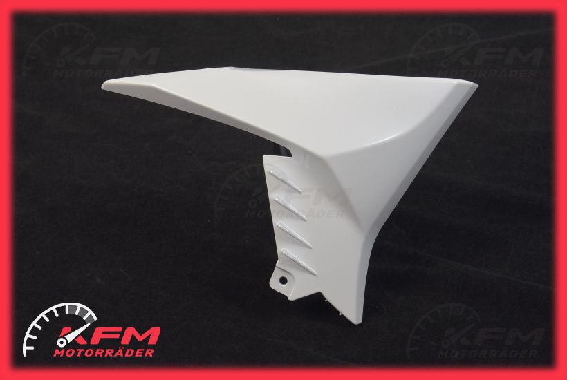 49134-5270-54X Kawasaki Fairing cover left - KFM-Motorraeder