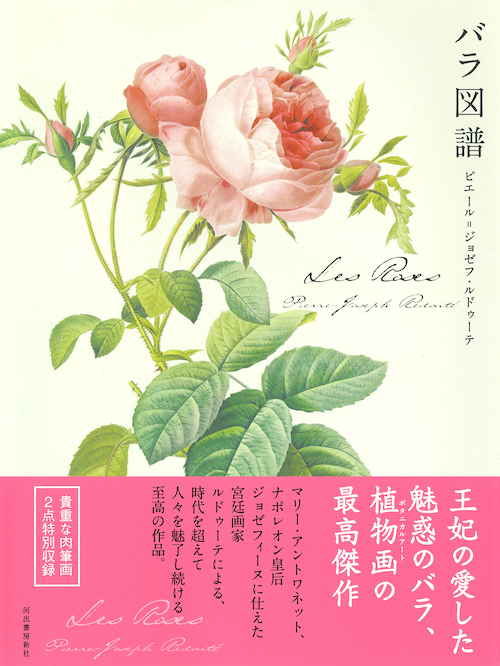Les Roses バラ図譜 :ピエール=ジョゼフ・ルドゥーテ | 河出