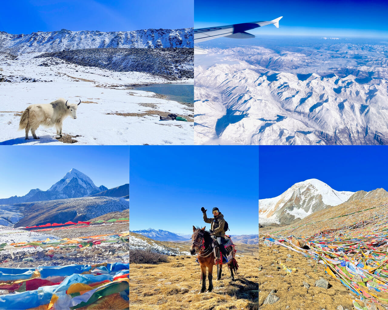 チベット出張に行ってきました！ | 風のスタッフブログ チベット自治区