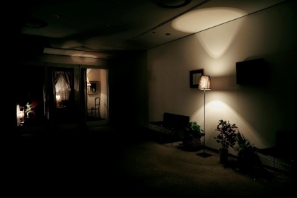 冨安由真展｜漂泊する幻影｜KAAT 神奈川芸術劇場