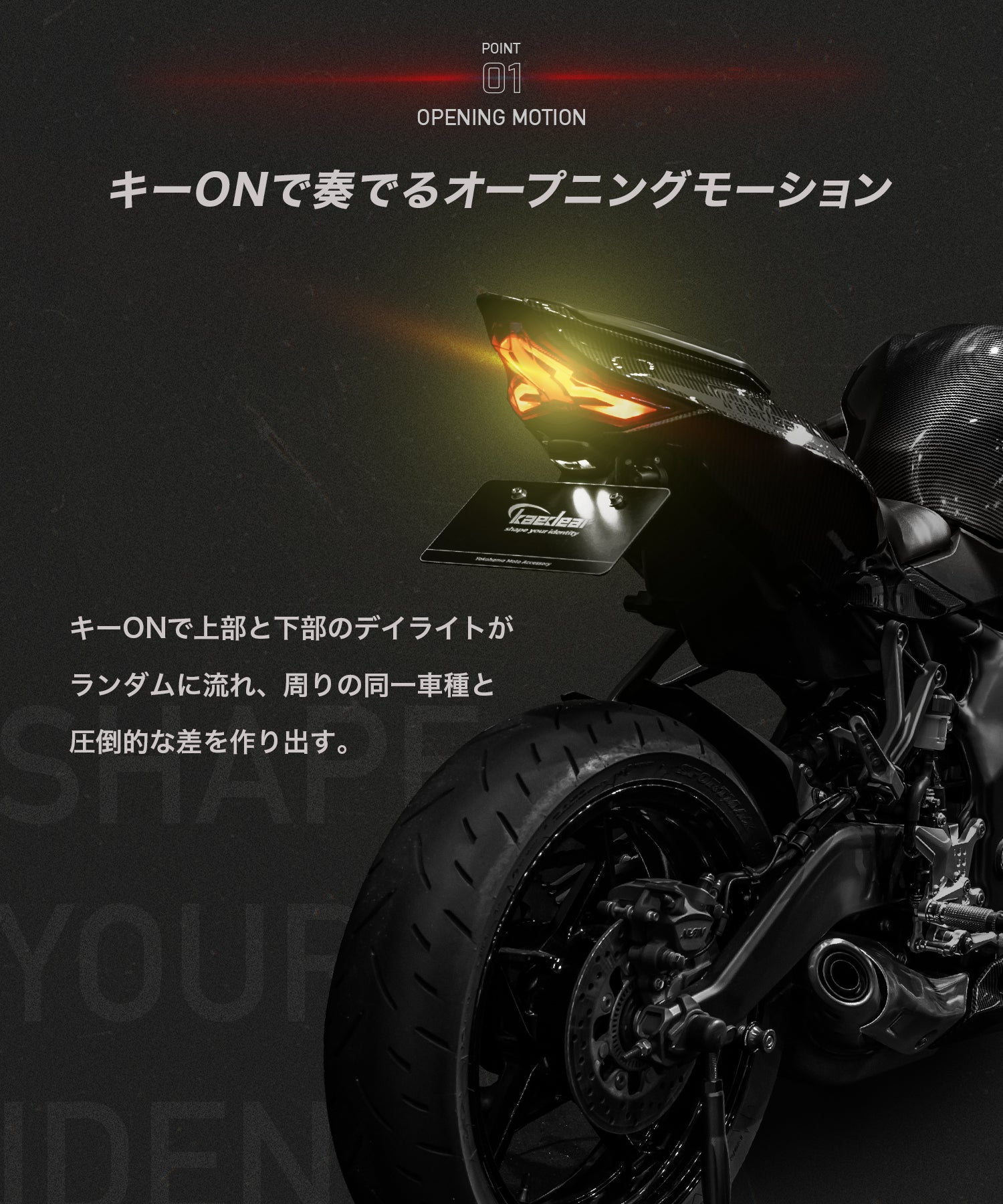 Cyber LED KAWASAKI Ninja ZX-25R カスタムテールランプ / ninja250