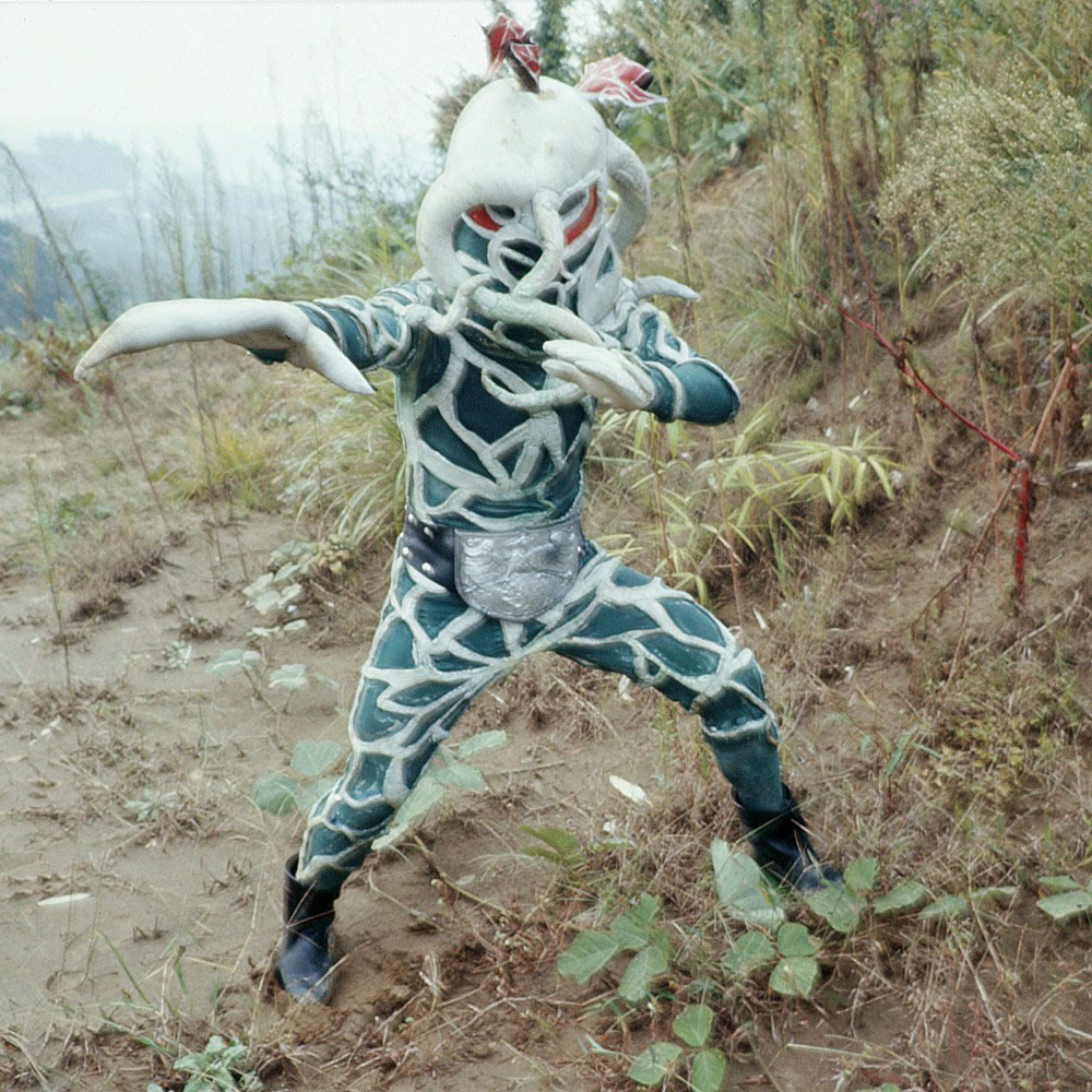 トリカブト | 仮面ライダー図鑑 | 東映