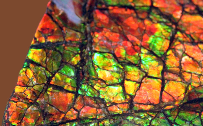 これがドラゴンスキンだ！これぞ宝石アンモライトというべき最高の