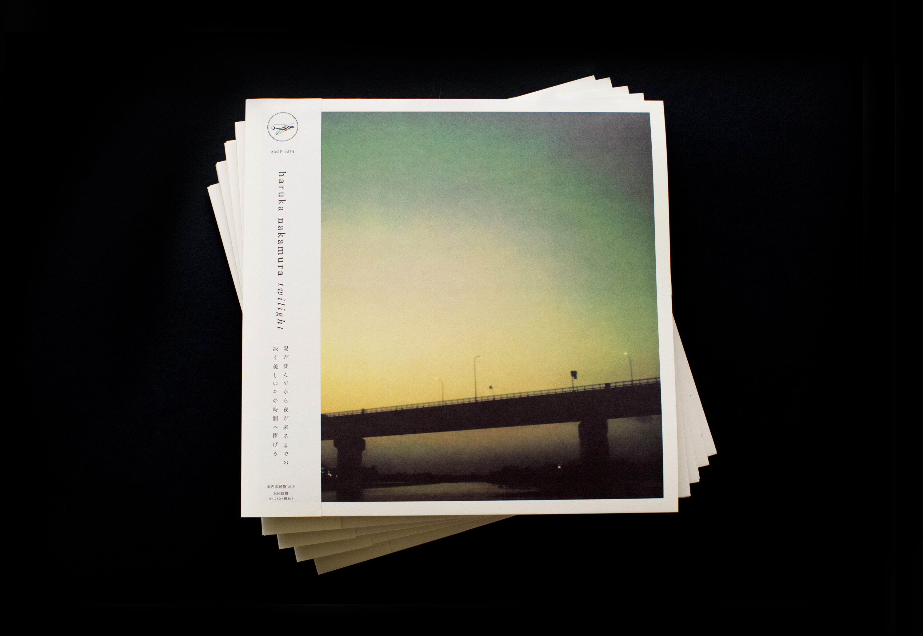 Nº 30 twilight (Deluxe Edition, 2LP Black) – haruka nakamura