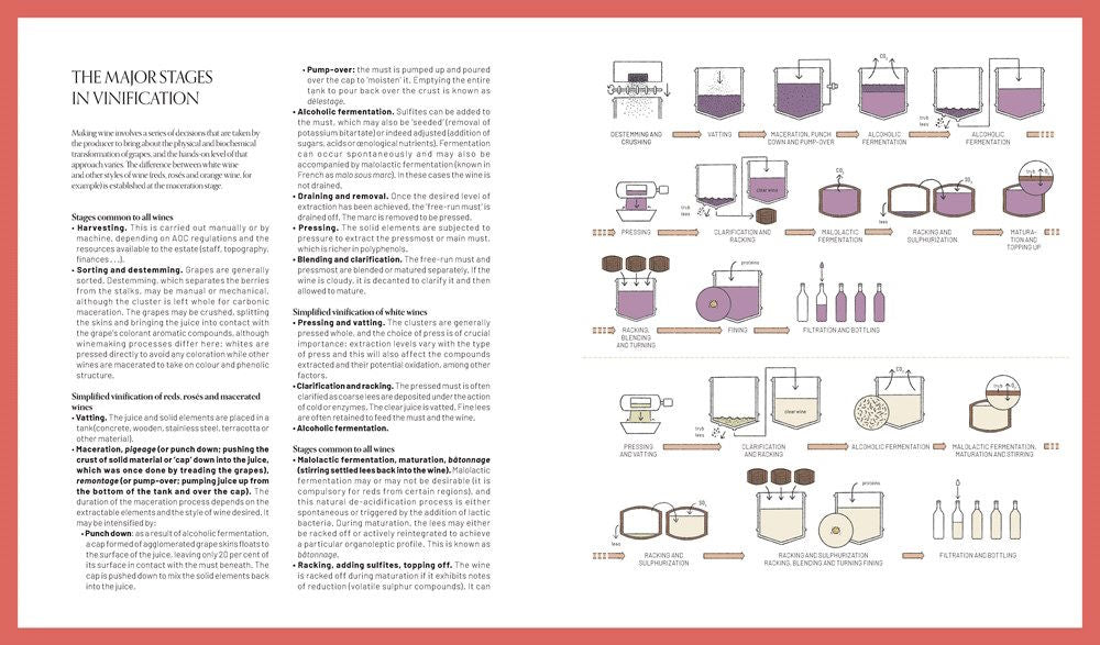 One Thousand Vines: A New Way to Understand Wine – Kitchen Arts