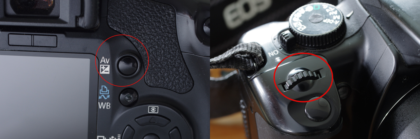 ネイチャースナップのすすめ｜格安中古で学ぶ一眼レフの基礎【露出編