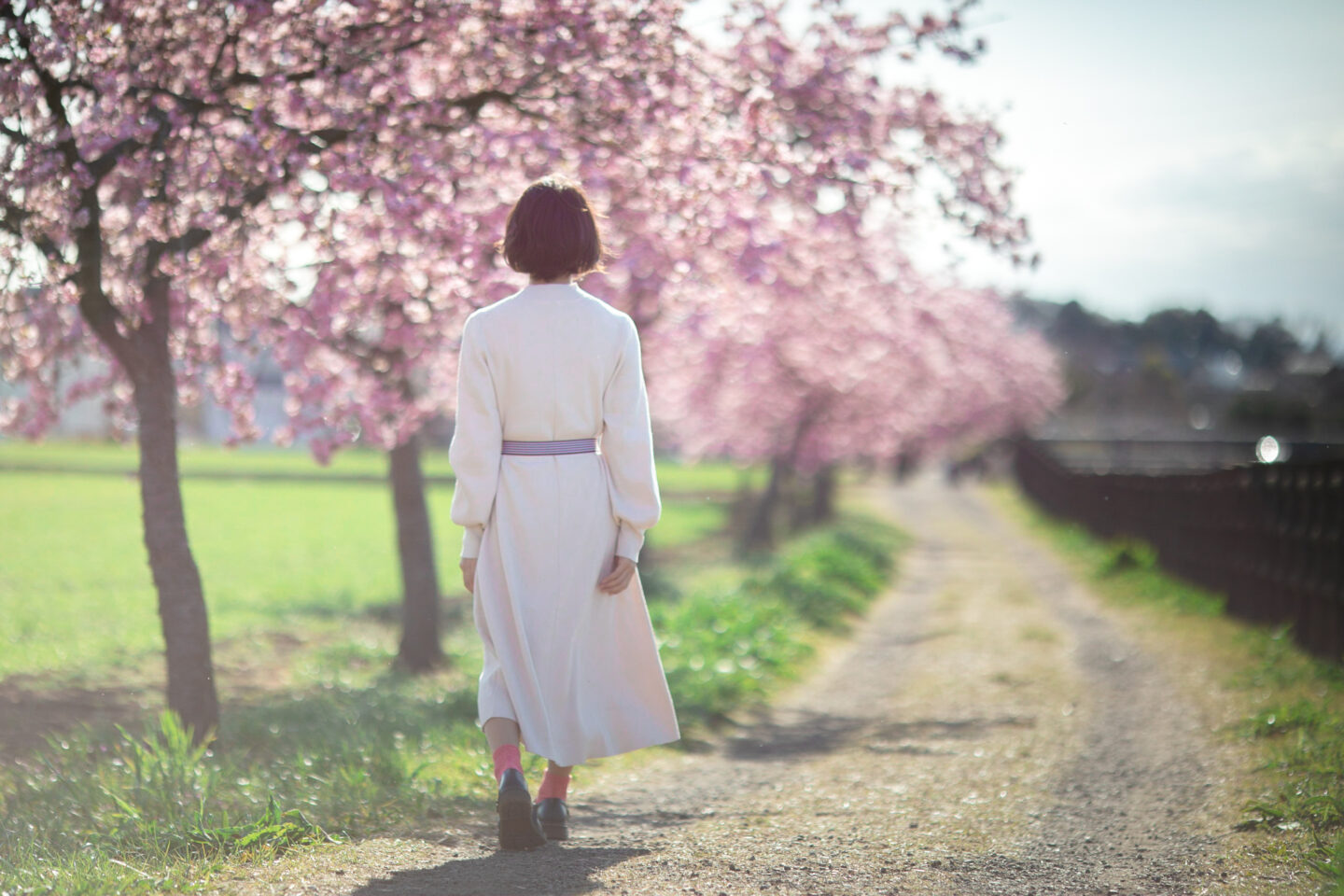 キヤノン EF135mm F2L USM レビュー｜まだまだ活躍してくれるボケ味